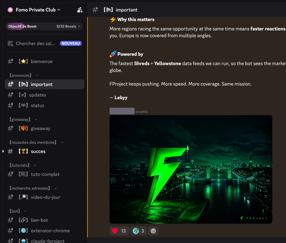 Capture du serveur Discord privé F Project : les salons d’annonces et une analyse de marché partagée par l’équipe.